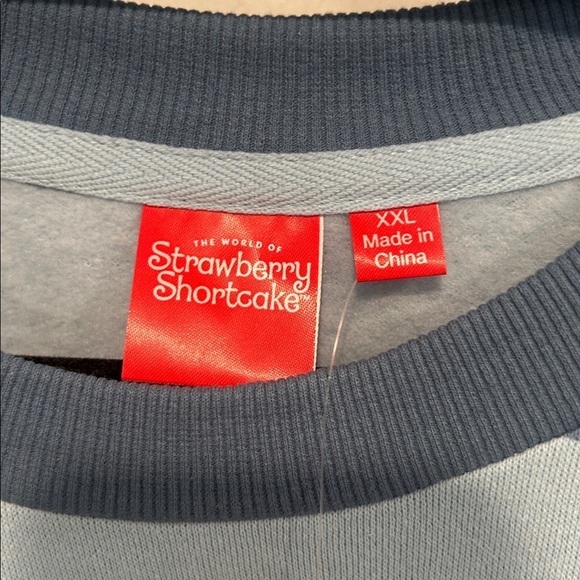 Striped blue strawberry shortcake slouchy crop pullover long sleeve sweatshirt - Picture 2 of 5